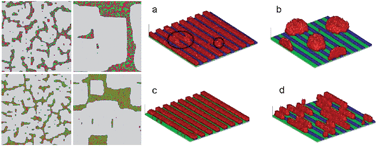 Graphical abstract: Coarse-grained lattice models for drying-mediated self-assembly of nanoparticles