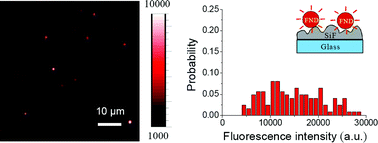 Graphical abstract: Fluorescence enhancement and lifetime modification of single nanodiamonds near a nanocrystalline silver surface