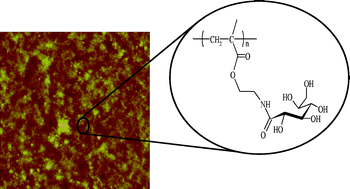 Graphical abstract: Synthesis and characterization of novel glycosurfaces by ATRP
