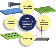 Graphical abstract: Nanostructured molecular surfaces: advances in investigation and patterning tools