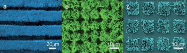 Graphical abstract: Mineralization for micropatterned growth of carbonate nanofibers