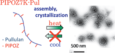 Graphical abstract: Composite nanomaterials by self-assembly and controlled crystallization of poly(2-isopropyl-2-oxazoline)-grafted polysaccharides