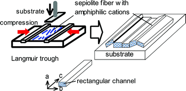 Graphical abstract: Preparation of Langmuir–Blodgett films of aligned sepiolite fibers and orientation of methylene blue molecules adsorbed on the film