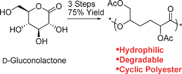 Graphical abstract: Biomaterials from sugars: ring-opening polymerization of a carbohydrate lactone