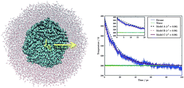 Graphical abstract: Heat transfer in soft nanoscale interfaces: the influence of interface curvature