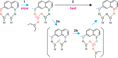 Graphical abstract: Proton transport of water in acid–base reactions of 7-hydroxyquinoline