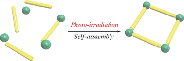 Graphical abstract: Photo-induced self-assembly of Pt(ii)-linked rings and cages via the photolabilization of a Pt(ii)–py bond