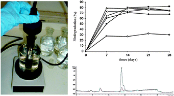 Graphical abstract: Biodegradation studies of ionic liquids