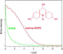 Graphical abstract: Relaxation rates for spirocyclohexyl nitroxyl radicals are suitable for interspin distance measurements at temperatures up to about 125 K