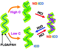 Graphical abstract: Acidichromism and chiroptical switch based on the self-assembly of a cyanine dye on the PLGA/PAH LbL film