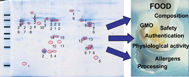 Graphical abstract: Proteome research in food science