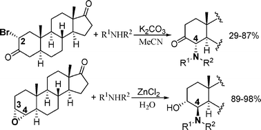 Graphical abstract: Significant steroids: effective and general synthesis of 4α- and 4β-amino-5α-androstanes