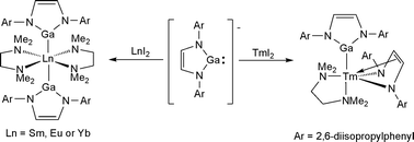 Graphical abstract: Gallyl lanthanide complexes containing unsupported Ln–Ga (Ln = Sm, Eu, Yb or Tm) bonds