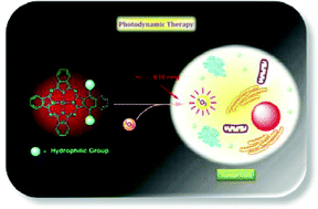 Graphical abstract: Synthesis and in vitro photodynamic activities of di-α-substituted zinc(ii) phthalocyanine derivatives