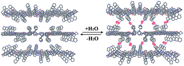 Graphical abstract: Reversible single-crystal-to-single-crystal transformation driven by adsorption/desorption of water over organic solvents and thermal stimulation