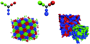 Graphical abstract: Beyond amphiphiles: coarse-grained simulations of star-polyphile liquid crystalline assemblies