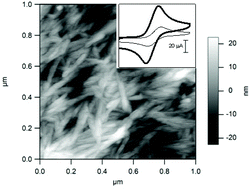 Graphical abstract: Permselective nanostructured membranes based on cellulose nanowhiskers