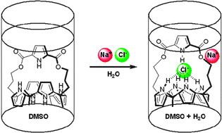 Graphical abstract: Real-time determination of chloride anion concentration in aqueous-DMSO using a pyrrole-strapped calixpyrrole anion receptor