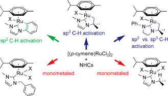 Graphical abstract: The intramolecular sp2 and sp3 C–H bond activation of (p-cymene)ruthenium(ii) N-heterocyclic carbene complexes
