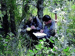 Graphical abstract: Quality control procedures in the Italian national forest inventory