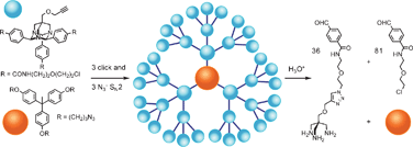 Graphical abstract: Degradable dendrimers divergently synthesized via click chemistry