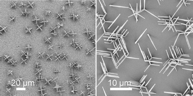 Graphical abstract: Epitaxial growth of hierarchical PbS nanowires