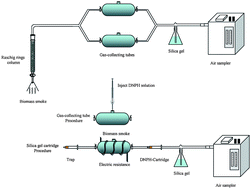 Graphical abstract: Determination of carbonyl compounds in smoke samples: strategies for sampling and standardization