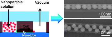 Graphical abstract: Fluid assisted assembly of one-dimensional nanoparticle array inside inorganic nanotubes