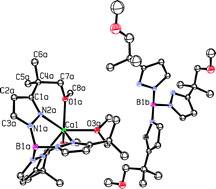 Graphical abstract: On the remarkable structural diversity and kinetic lability of TpC*CaX complexes (X = NSi2Me6, OC6H4-p-Me, TpC*) where TpC* = tris[3-(2-methoxy-1,1-dimethylethyl)pyrazolyl]hydroborate