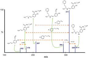 Graphical abstract: Automated molecular formula determination by tandem mass spectrometry (MS/MS)