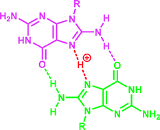 Graphical abstract: Evidence of strong hydrogen bonding by 8-aminoguanine