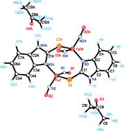 Graphical abstract: Structure and properties of binuclear nitrosyl iron complex with benzimidazole-2-thiolyl