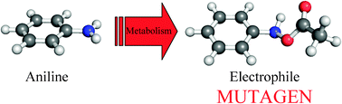 Graphical abstract: Reaction energies computed with density functional theory correspond with a whole organism effect; modelling the Ames test for mutagenicity