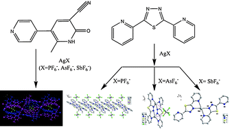 Graphical abstract: Counteranion's effects on the structures of supramolecular silver coordination compounds of one asymmetric and one biting organic ligands