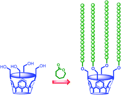 Graphical abstract: Spatially directional multiarm poly(ε-caprolactone) based on resorcin[4]arene cavitand core