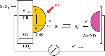 Graphical abstract: Au nanoparticle electrocatalysis in a photoelectrochemical solar cell using CdSquantum dot-sensitized TiO2 photoelectrodes