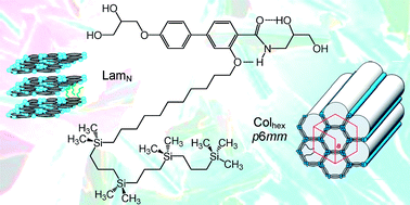 Graphical abstract: Siloxanes and carbosilanes as new building blocks for T-shaped bolaamphiphilic LC molecules