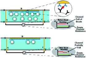 Graphical abstract: Electrical detection of protein biomarkers using bioactivated microfluidic channels