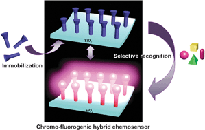 Graphical abstract: Silica-based chromogenic and fluorogenic hybrid chemosensor materials