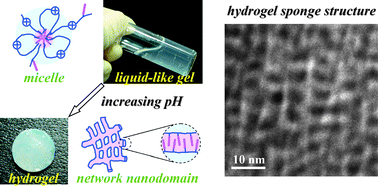 Graphical abstract: Rapidly in situ forming hydrophobically-modified chitosan hydrogels via pH-responsive nanostructure transformation