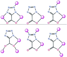 Graphical abstract: Coordination chemistry of tetrazolate-5-carboxylate with manganese(ii): synthesis, structure and magnetism