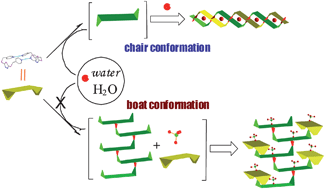 Graphical abstract: Precursory disilver(I) macrocycle with pendent binding sites: a new building block for targeting coordination polymers based on solvent-controlled conformational variation