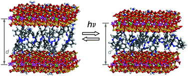 Graphical abstract: Molecular models and simulations of layered materials