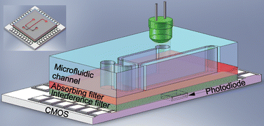 Graphical abstract: An integrated hybrid interference and absorption filter for fluorescence detection in lab-on-a-chip devices