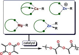 Graphical abstract: Complexes of Mg, Ca and Zn as homogeneous catalysts for lactide polymerization