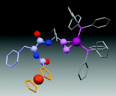 Graphical abstract: Synthesis and characterisation of hetero-bimetallic organometallic phenylalanine and PNA monomer derivatives