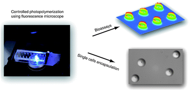 Graphical abstract: Controlled photopolymerization of hydrogel microstructures inside microchannels for bioassays