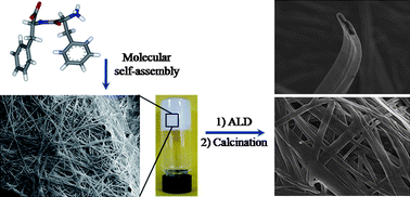 Graphical abstract: Highly entangled hollow TiO2nanoribbons templating diphenylalanine assembly