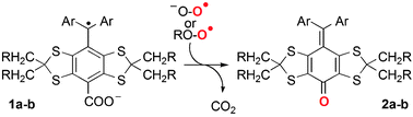 Graphical abstract: Oxidation of tris-(p-carboxyltetrathiaaryl)methyl radical EPR probes: evidence for their oxidative decarboxylation and molecular origin of their specific ability to react with O2˙−