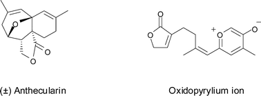 Graphical abstract: A concise total synthesis of (±)-anthecularin